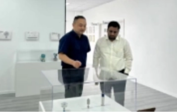 BICCNS Visits Southeast Asian Semiconductor Market Inspection