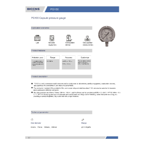 PG100 Capsule Pressure Gauge