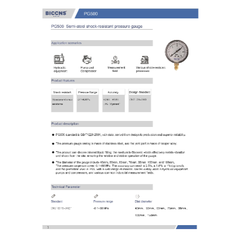 PG500 Semi-steel Shock-resistant Pressure Gauge